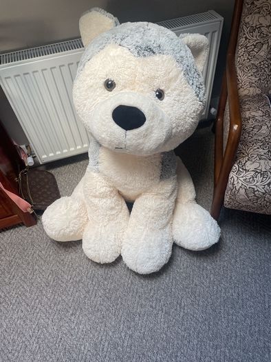 big dog teddy