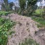 topsoil Image 2