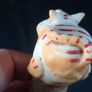 Paolo Chiari Designer Cat Wine stopper Image 6