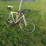 Orbea Road Bike Image 2