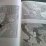 The Balkans 1804-1999 Nationalism war and the great powers Image 4