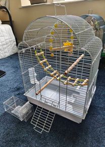 New Parrot/bird Cage Starter Kit + Tons of Accessories