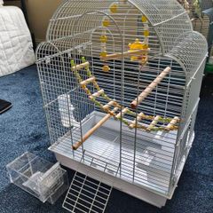 New Parrot/bird Cage Starter Kit + Tons of Accessories