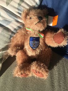 Soft toy Waterford crest teddy,