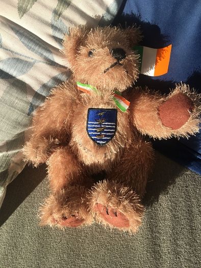 Soft toy Waterford crest teddy,