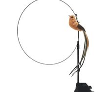 Epoxy Sucker Steel Wire Long Rod Feather Cat Teasing Stick Cat Self Hi No Harmful Ingredients