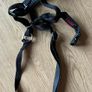 Halti Headcollar Image 3