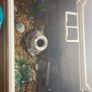 Fish tank Image 10