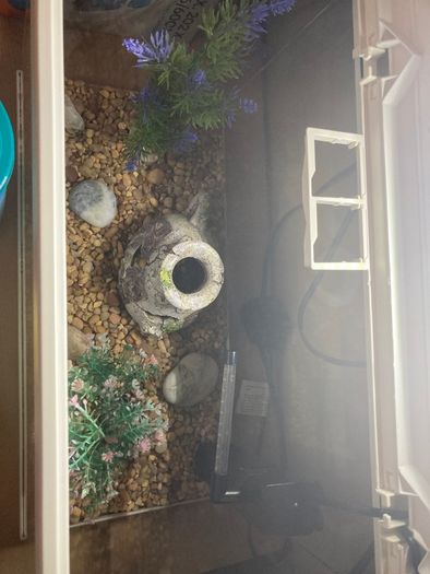 Fish tank