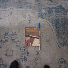 Tin whistel with book