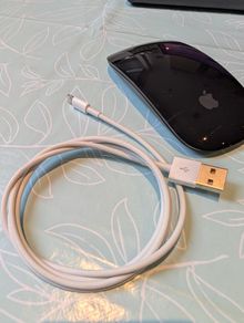 Black Apple Magic Mouse