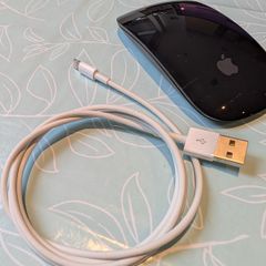 Black Apple Magic Mouse