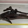 Bog oak Image 3