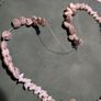 Natural shell necklace Image 2