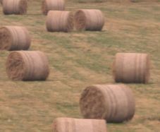 Round Hay bales