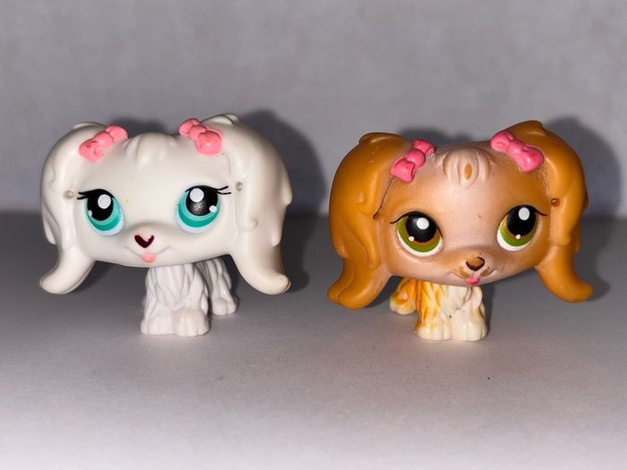 littlest pet shop (LPS) Maltese bundle!