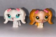 littlest pet shop (LPS) Maltese bundle!