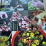 Feast - Food that Celebrates Life by Nigella Lawson Image 8