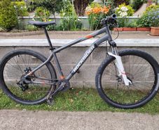 mountain bike Rockrider ST120-final price drop!
