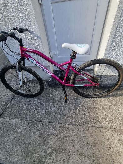 Bicycle in Very Good Condition