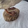 Vintage Taxidermy Mallard Duck Image 3