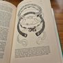First Edition. The Life and Death of a Druid Prince. The Story of Lindow Man. An Archaeological Sensation. Anne Ross and Don Robins. Image 9