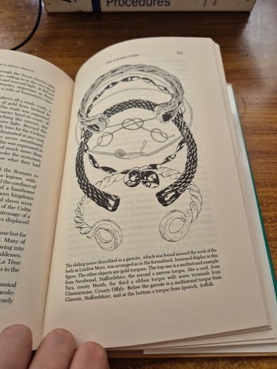 First Edition. The Life and Death of a Druid Prince. The Story of Lindow Man. An Archaeological Sensation. Anne Ross and Don Robins.