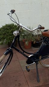 Vintage Gazelle Classic Bike
