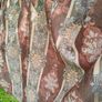 Upholstery Fabric Image 6
