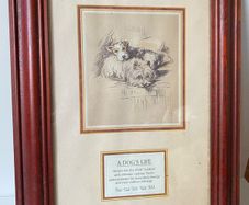 Dog Picture