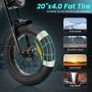 AILIFE X20B Electric Bike Image 3