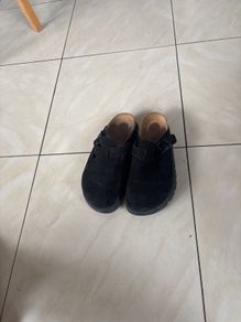 papillio mules