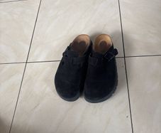 papillio mules