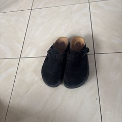 papillio mules