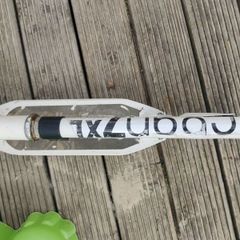 Adult Scooter