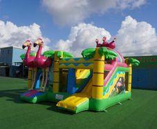 Bouncy Castles For Sale  Like New!