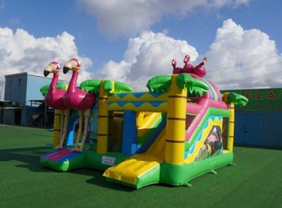 Bouncy Castles For Sale  Like New!