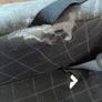 Britax child car seat Image 5
