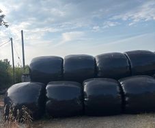 Haylage Bales