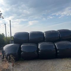 Haylage Bales