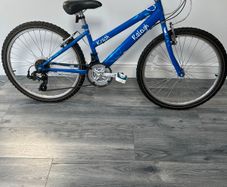 Girls Raleigh bike 26''