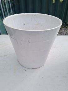 plant holder