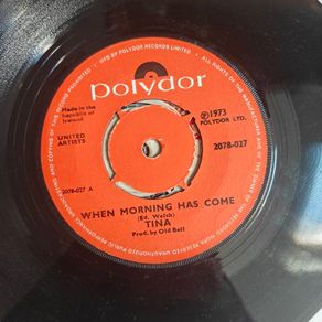Tina (Tina  and The Real McCoy),  When Morning Has Come 7", Irish showband and Eurovision