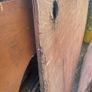 plywood Image 2