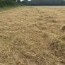 2025 And 2026 Haylage Image 5