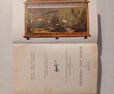 Life in Ponds and Streams by W. Furneaux 1935 Edition