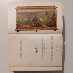Life in Ponds and Streams by W. Furneaux 1935 Edition