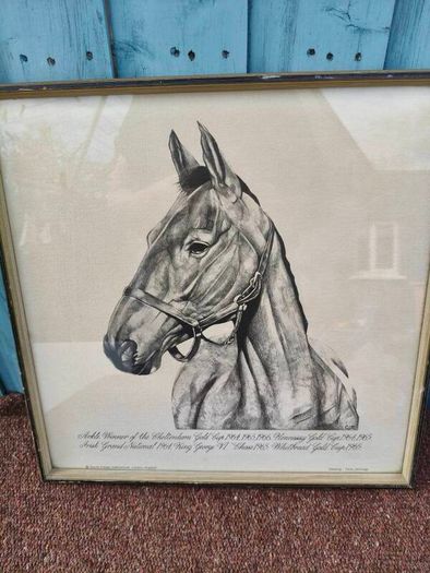 Arkle Framed Drawing/Print