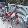 bike - 26" Tiger for teenager / young adult Image 2