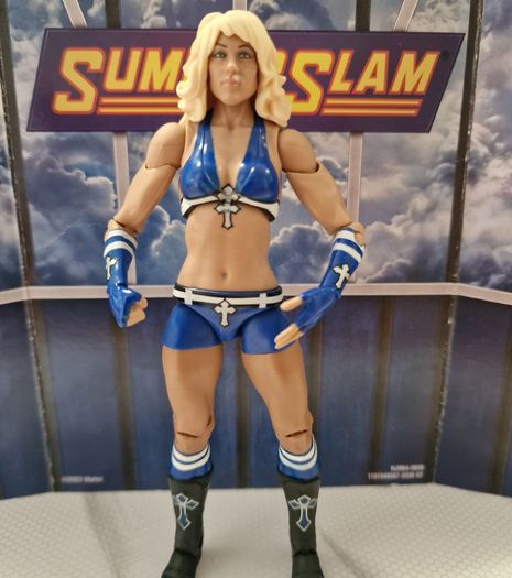 WWE Mattel Elite Wrestling Figures IO Sky Carmello Hayes MORE